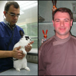 Doctor Rabbit and Monsieur Lapin
