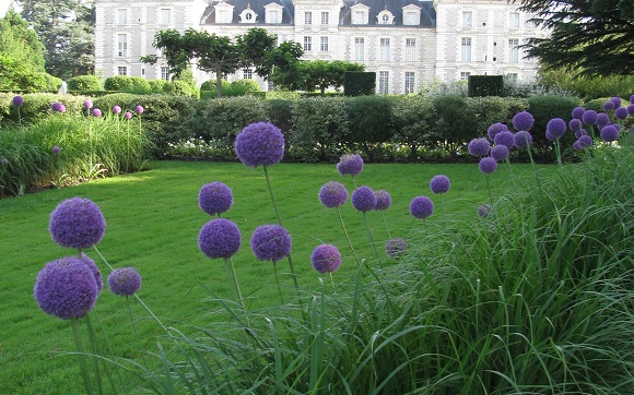 In the gardens behind the chateau. Photo GLK