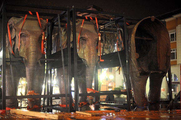 Departure of the elephants. Photo Gilles Garofolin, Ville de Chambéry