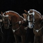 Equitation in the French Tradition Joins List of Intangible Cultural Heritage of Humanity