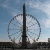 Miss Mimosa and the Big Wheel Over Paris