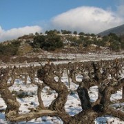 Drome: An Unmistakable If Frigid Air of Provence in Winter