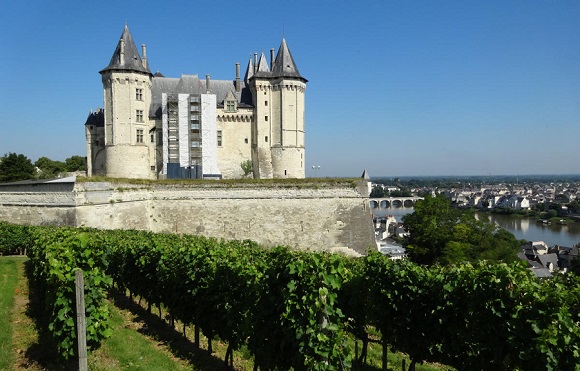 FR1-Chateau de Saumur + vines - GLK