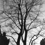 An “April in Paris” post card from the barefoot photographer