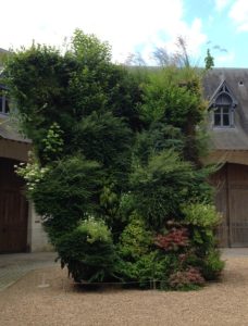 Patrick Blanc's vegetal sculpture in Chaumont's stables, 2016. Photo Corinne LaBalme