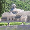 The Abbey of Senanque: Lavender, Old Stones and Poetry in Provence