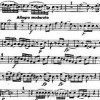 Sinfonietta Paris Chamber Orchestra & The Musical Vignette Contest Winner