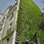 Va-nu-pieds' Wall for All Seasons
