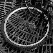The Cranky Pedestrian: The Barefoot Photographer Rants Against Bicycle Cadavers