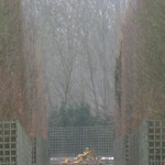 The Gardens of Versailles in Winter