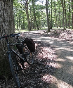 Biking through woods after Chambord