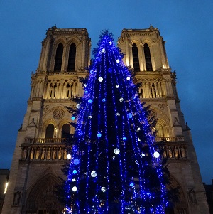 Notre-Dame de Paris with tree. GLK