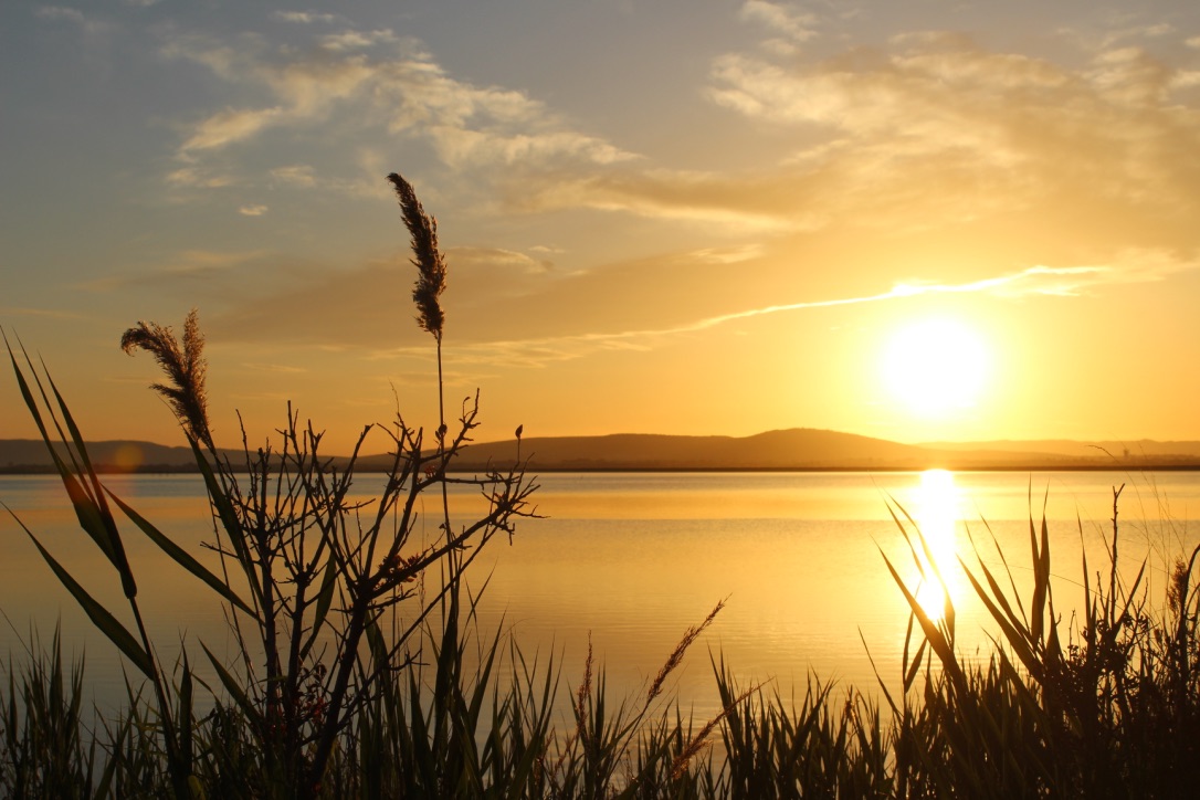 Etang Palavas / View from Palavas-les-Flot at sunset. Photo Jenny Eagle.