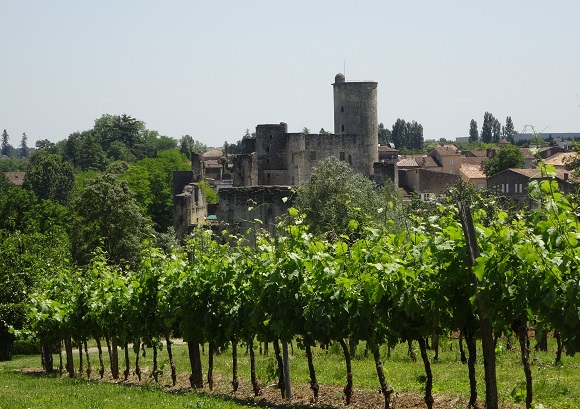 Rauzan chateau and vineyards-GLK