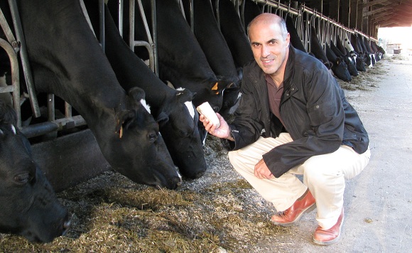 The author, fresh cheese and cows at the Ferme de Coubertin.