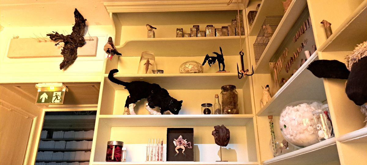 Some of Yoshikazu Goulven Le Maître's curiosities at La Roche-Guyon. Photo (c) GLK.