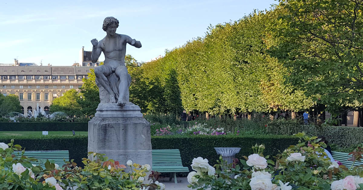 Lindens in Palais Royal Garden, Paris - Photo GLK