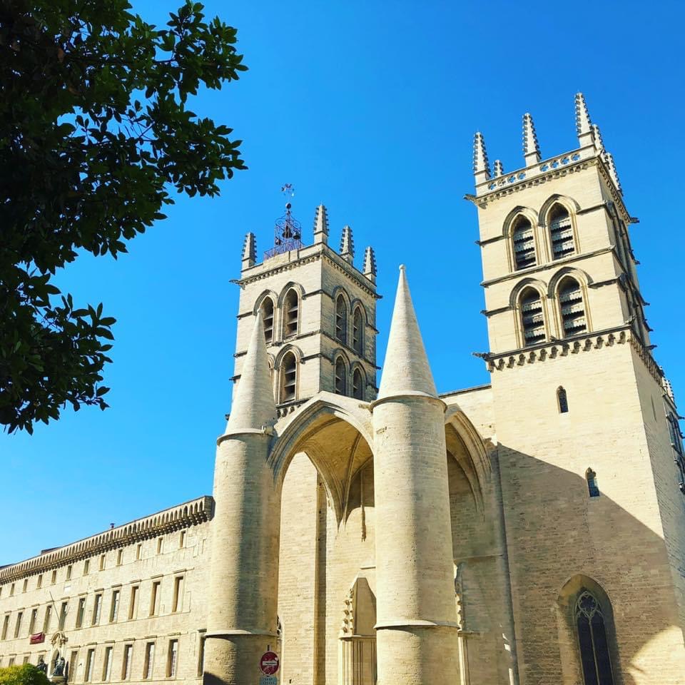 Montpellier medical school. Photo (c) V. Paduano