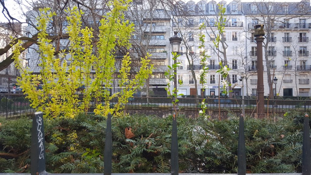 Springtime in Paris - renewal Mallarme 4