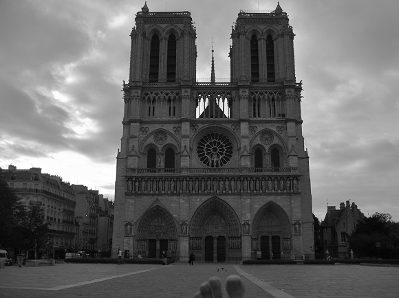 Notre-Dame early summer morning. (c) Va-nu-pieds.